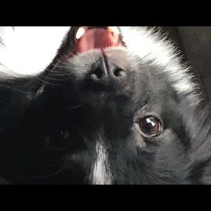 Meet your Posher, Chris